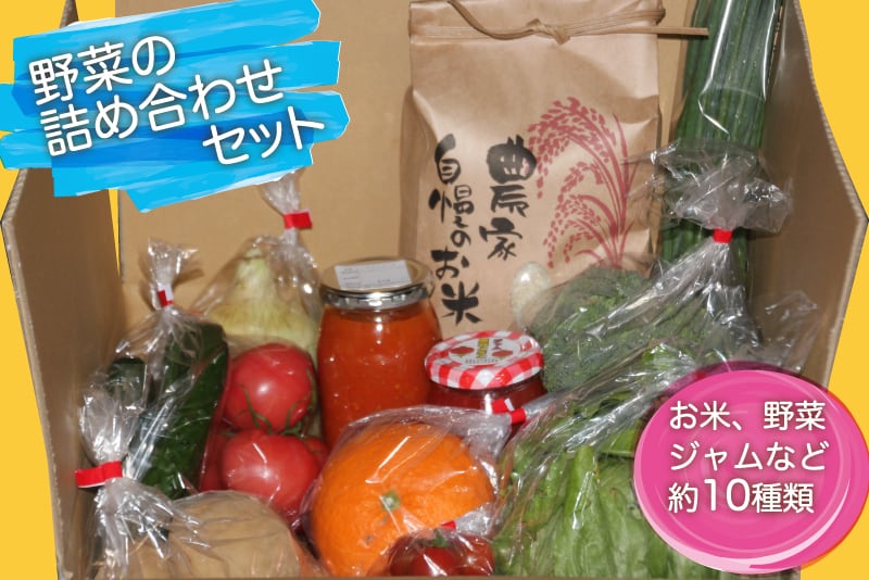 野菜の詰め合わせセット【AYAKOファーム】 | 南島原産直サイト みな