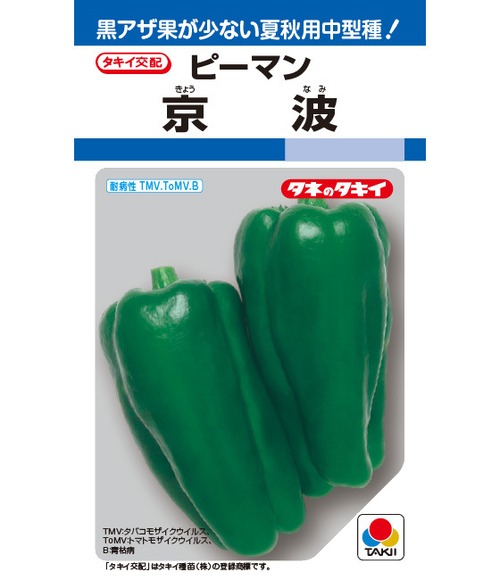 ピーマン「京波」（1000粒） 画像