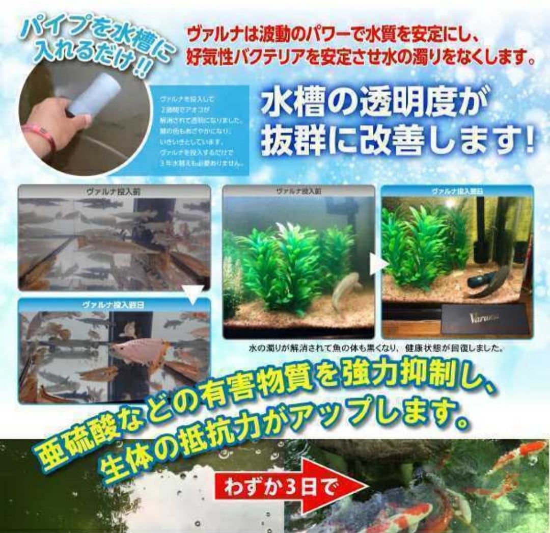 ☆送料無料☆池、養殖池用！【ヴァルナ】超特大サイズ！池の透明度が 