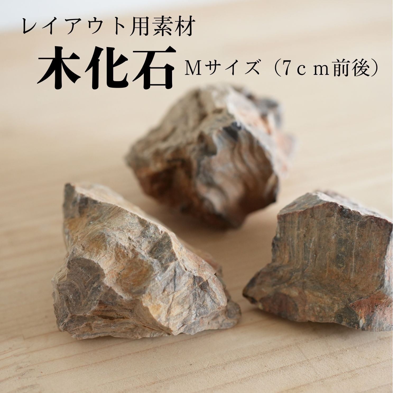 木化石 Mサイズ(7㎝前後) 3個入り【テラリウムレイアウト用】