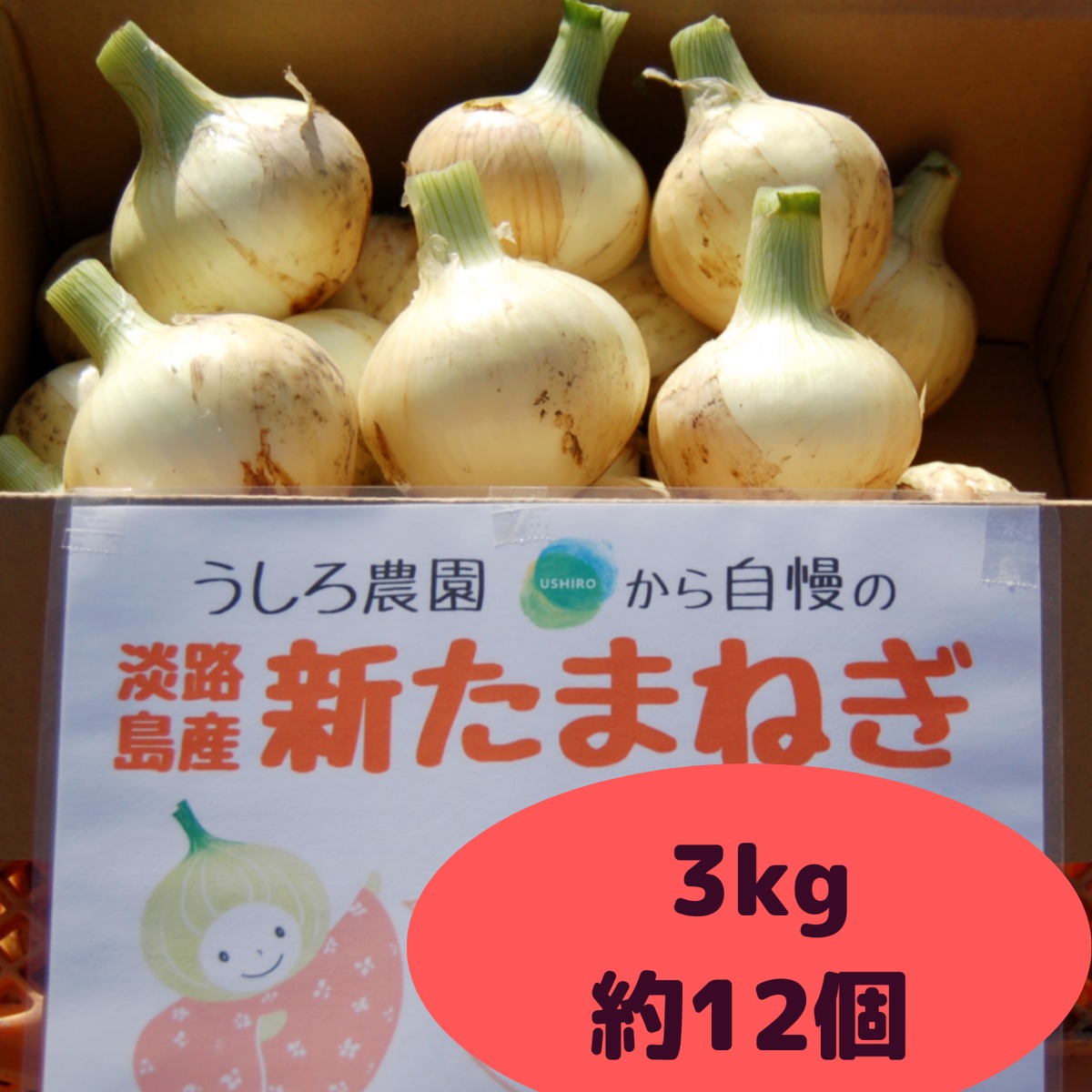 淡路島産 新玉ねぎ 訳あり3キロ箱 - 野菜