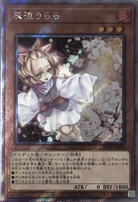 【美品】灰流うらら(エクシク)