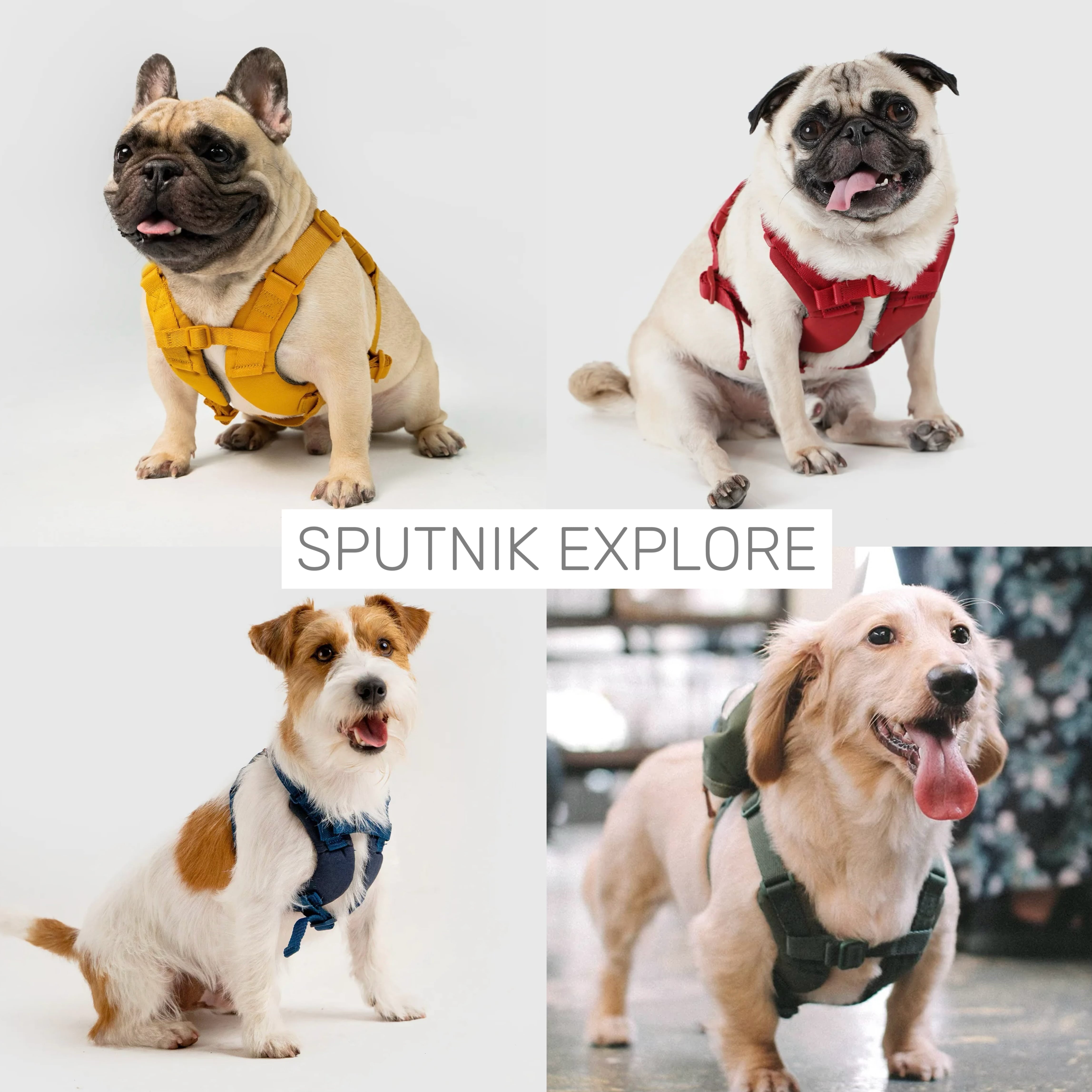 Mサイズ18KGまで【SPUTNIK】定番EXPLOREシリーズ X型ハーネス