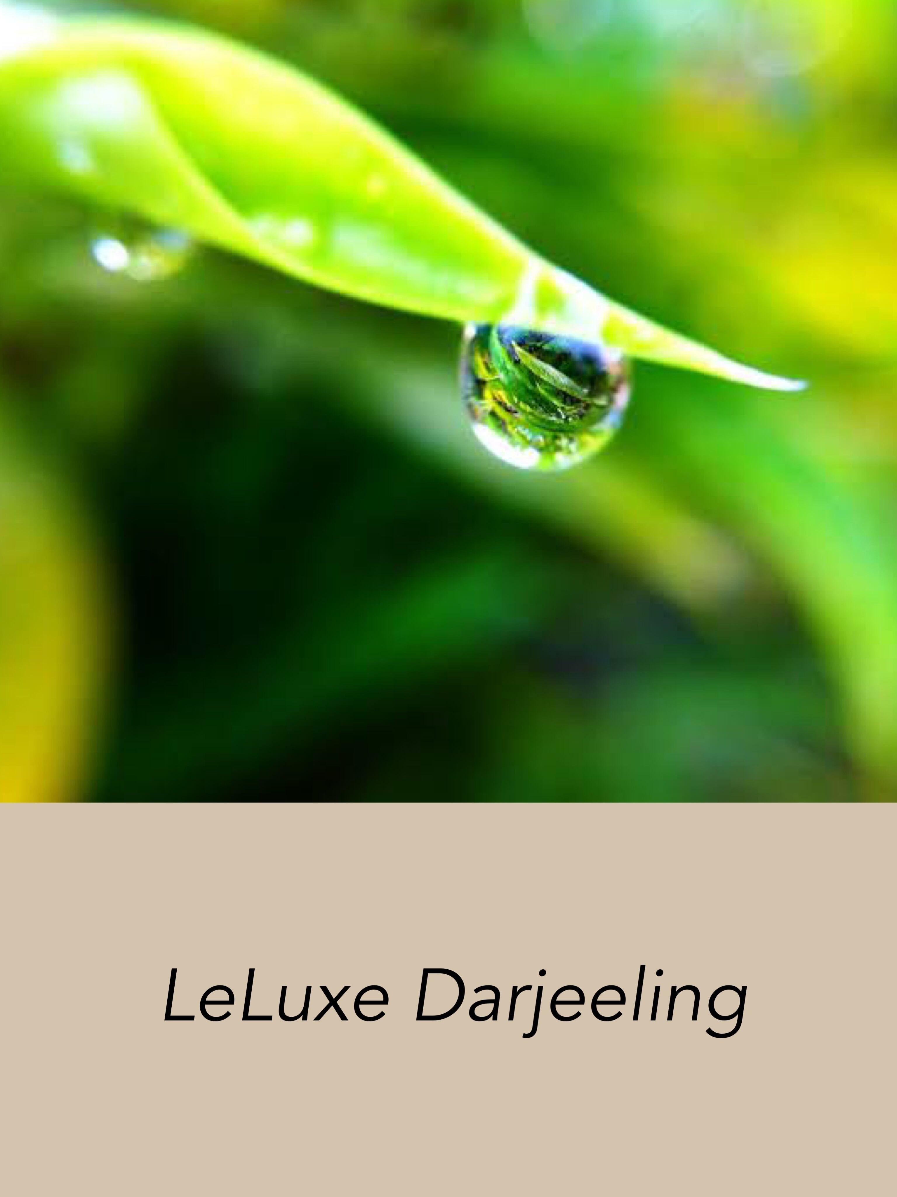 Leluxe Darjeeling 20TB袋入