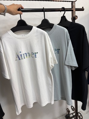 DUAL voice リラックスレギュラーTシャツ　p31B
