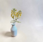 atelier karin 菜の花