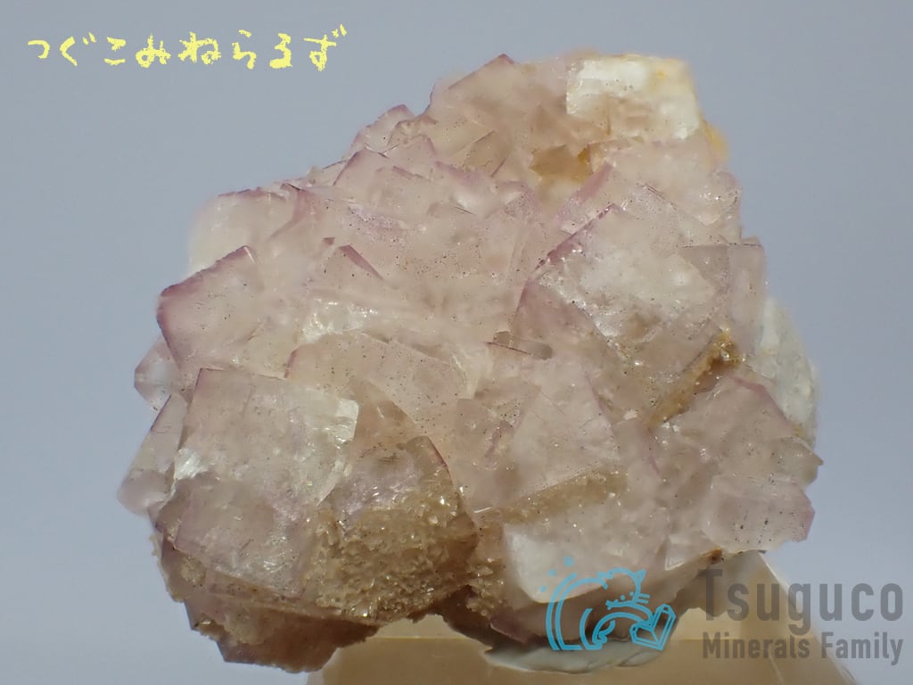 フローライト 蛍石 Fluorite イギリス TM-0051