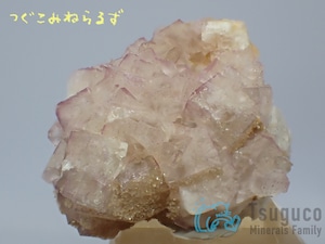 フローライト 蛍石 Fluorite イギリス TM-0051