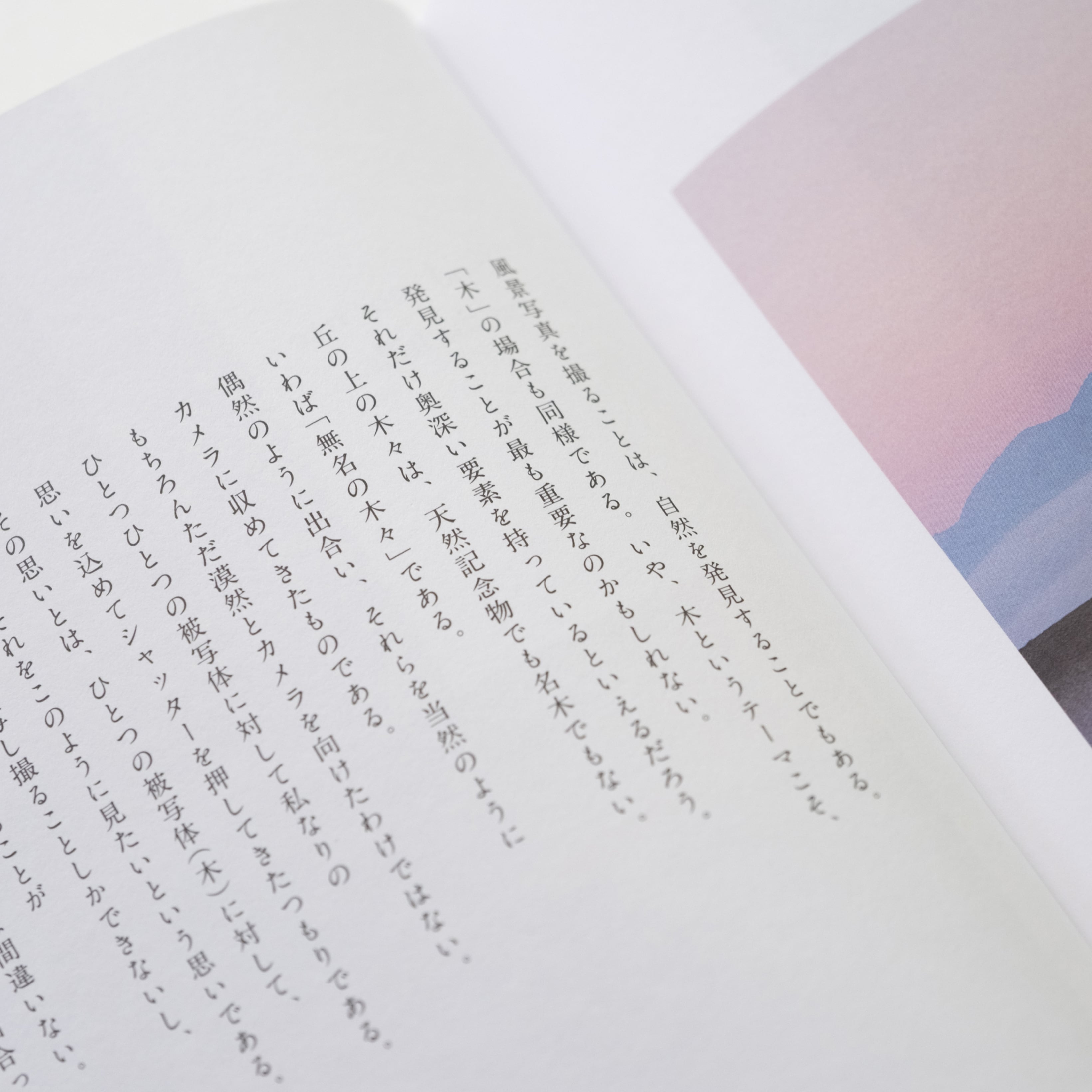 Trees on the Hills」公式図録 | 拓真館 TAKUSHINKAN