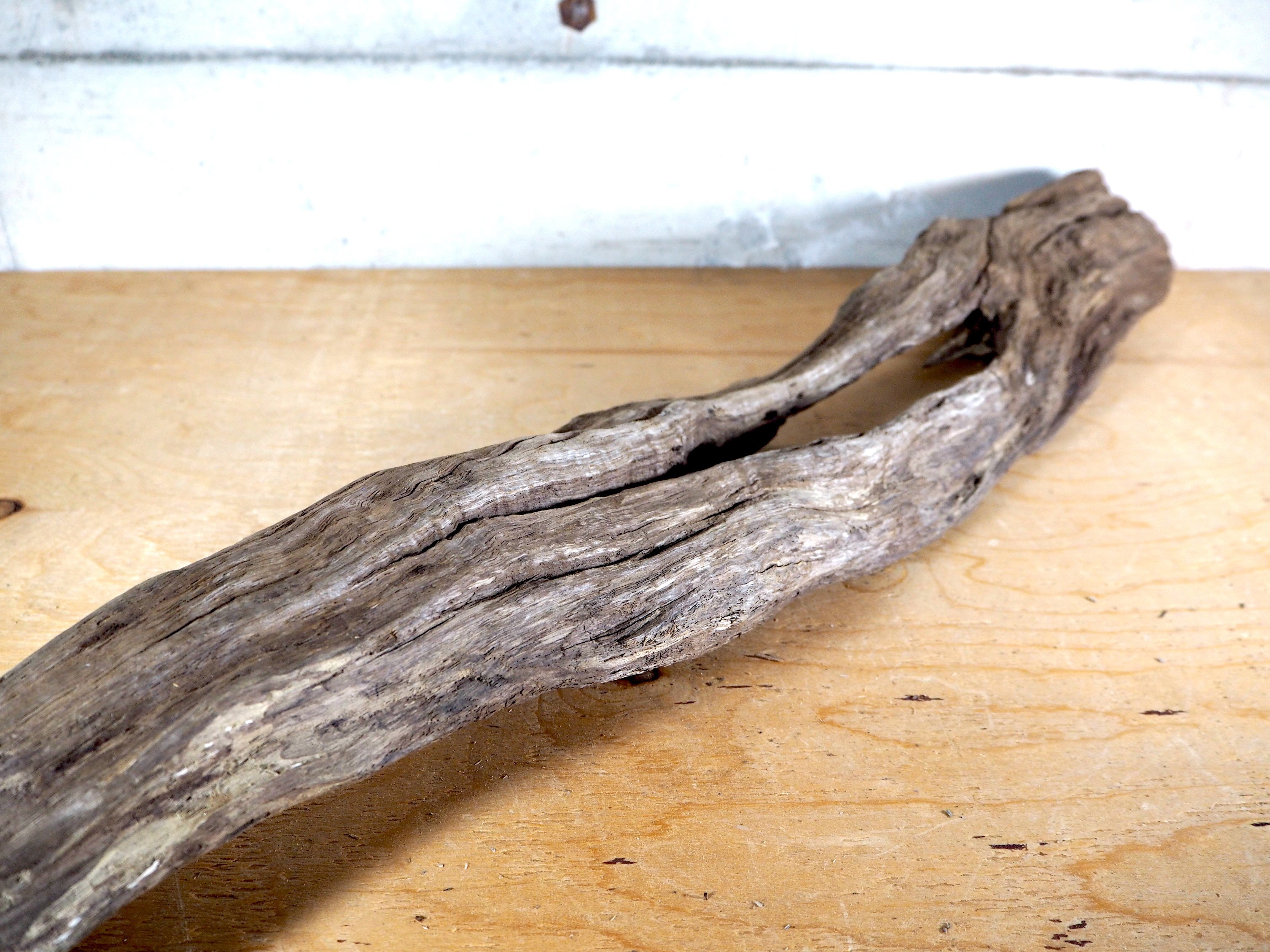 流木販売専門店 山の流木