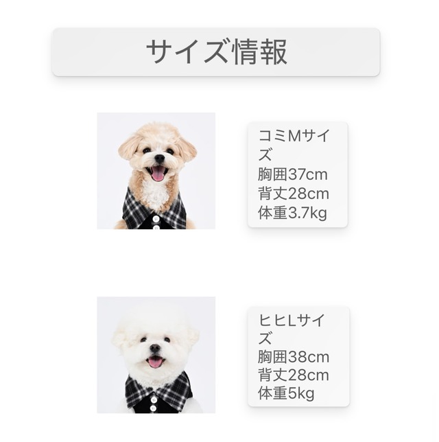 足を通さない襟付きシャツ ‐ (CREAM)