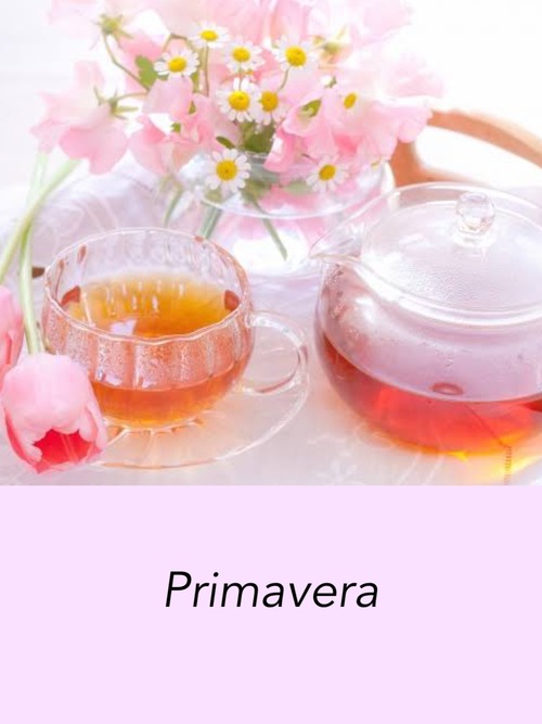 Primavera 20TB袋入