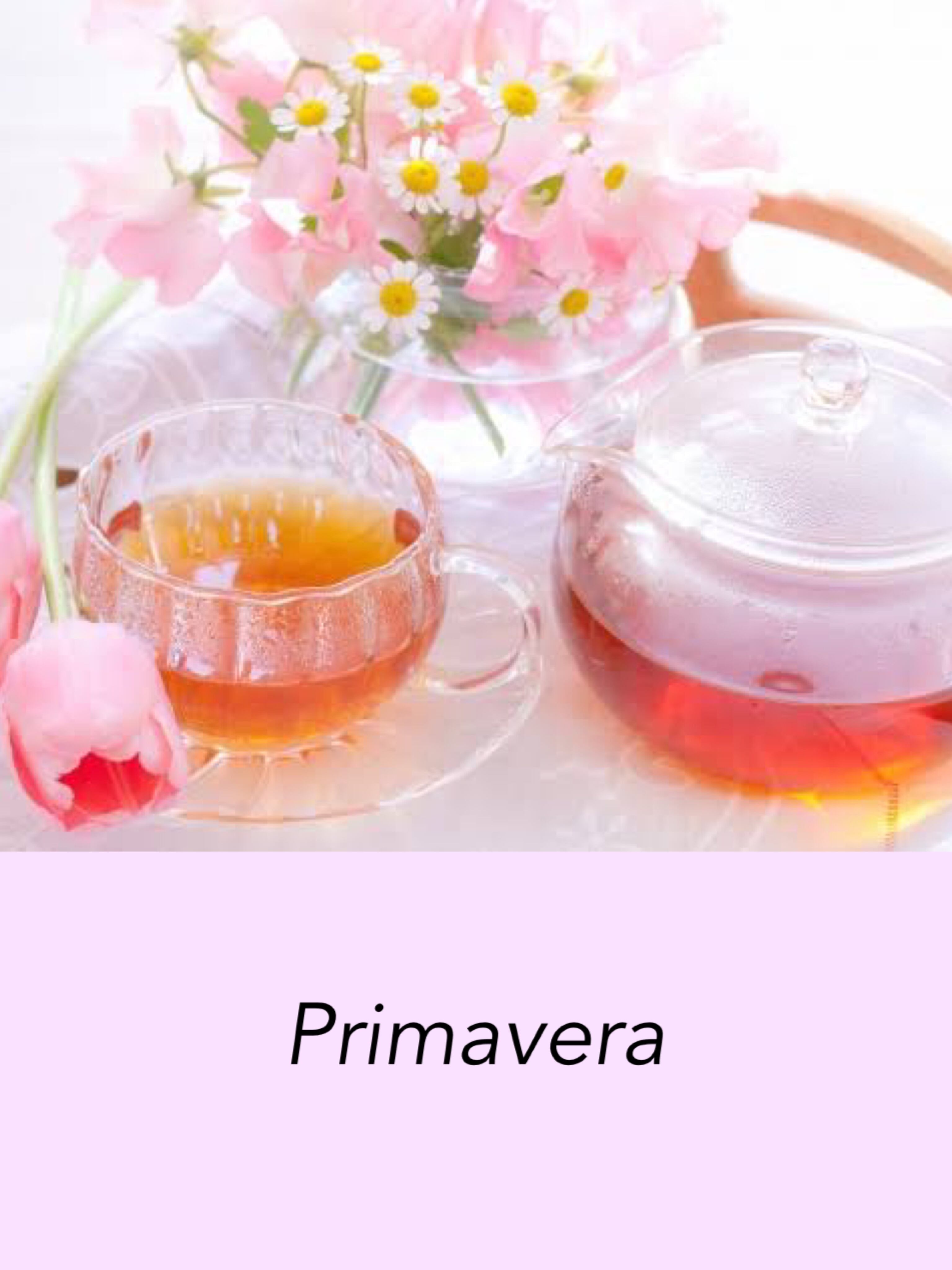 Primavera 20TB袋入