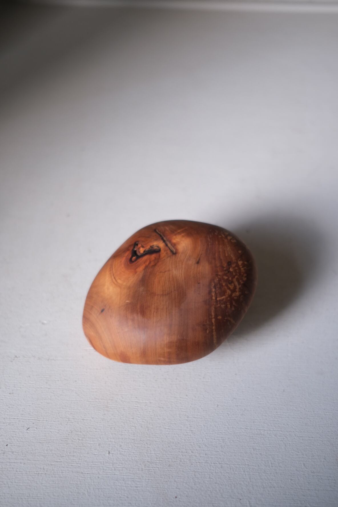 木の石 M ⑤ -タブの木- | TORINOKI FURNITURE