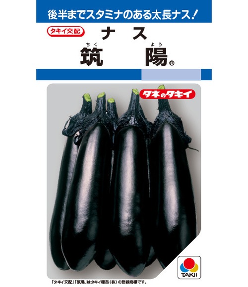 ナス「筑陽」（DF） 画像