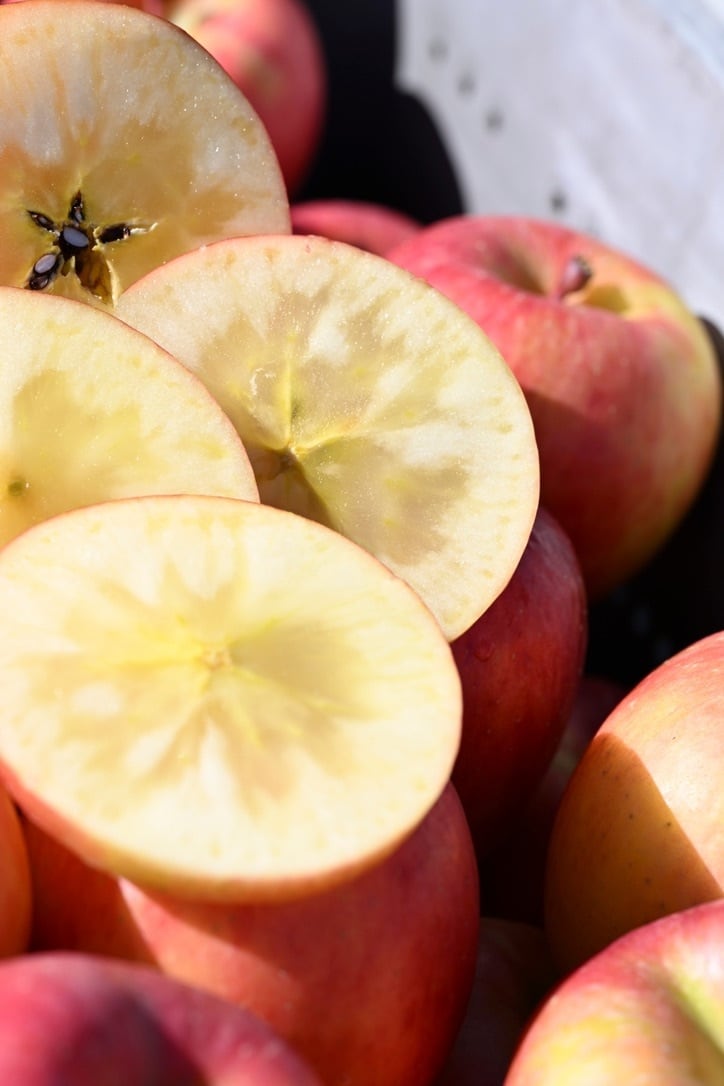 葉とらず高徳　贈答用2kg