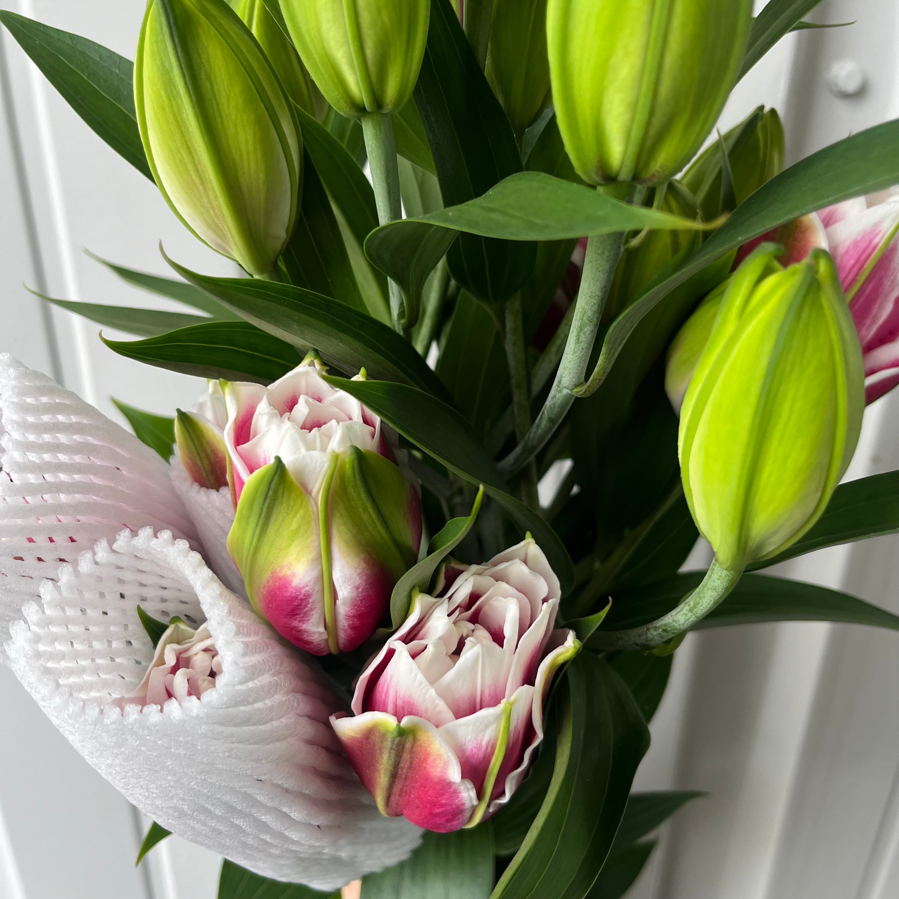 ゴージャスの極！八重咲ユリ サマンサ 5本 | 新鮮お花問屋 Jp-Farmers.com