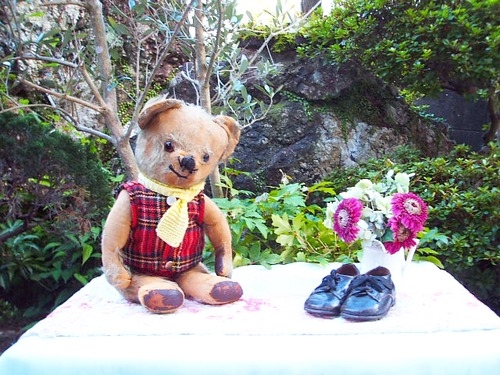 ENGLISH MOHAIR Teddy Bear