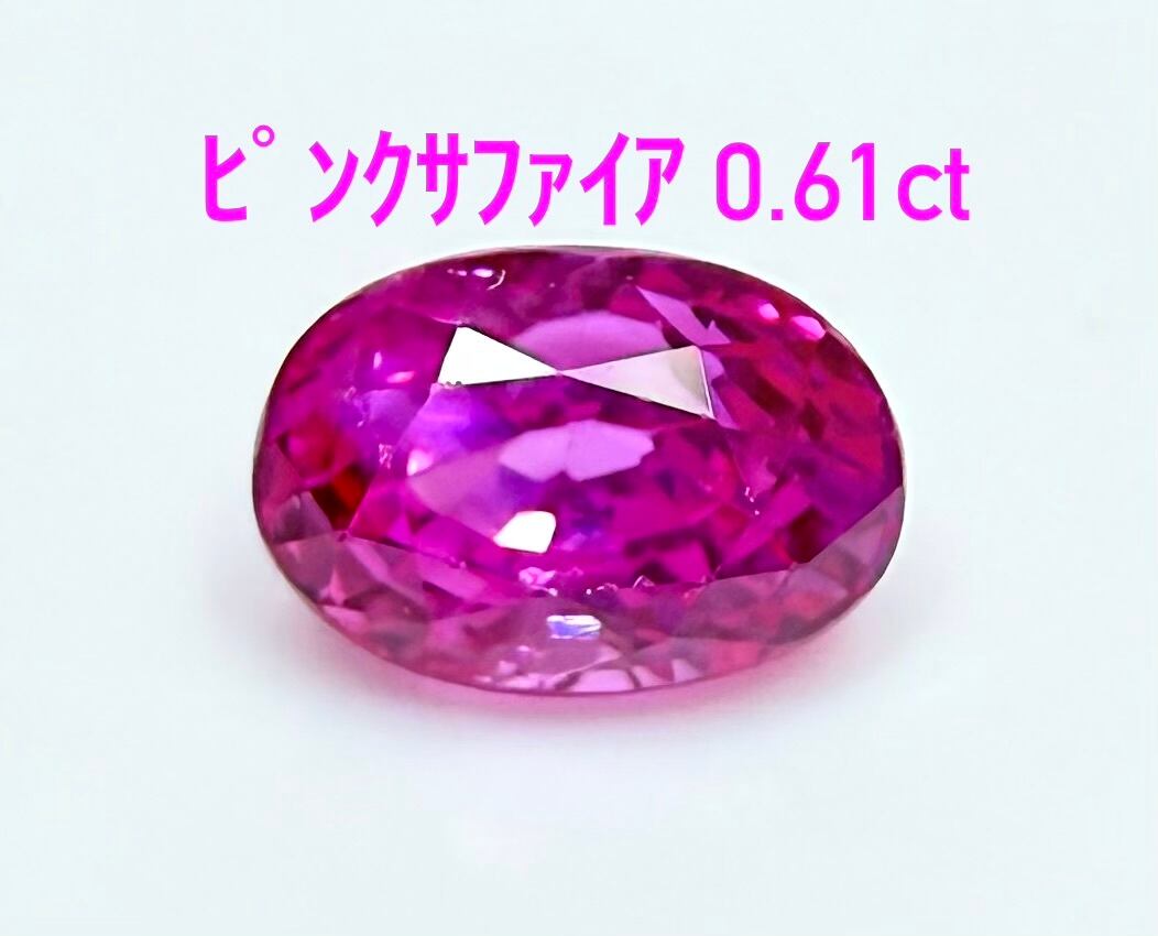 エキノカクタス インゲンスストロングスピン1199 エキノカクタス