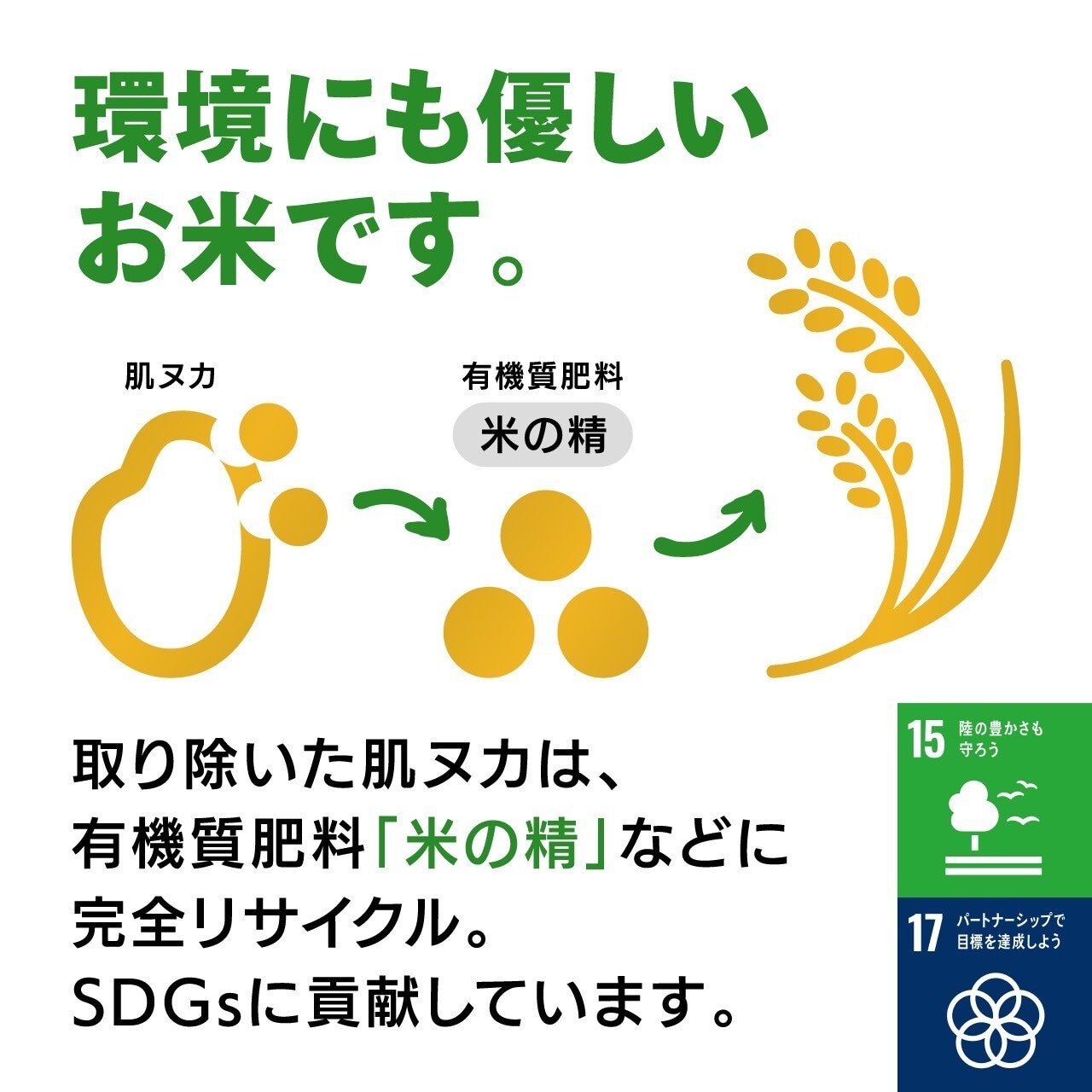 島根県産BG無洗米コシヒカリ 10㎏(5kg×2) 送料込み