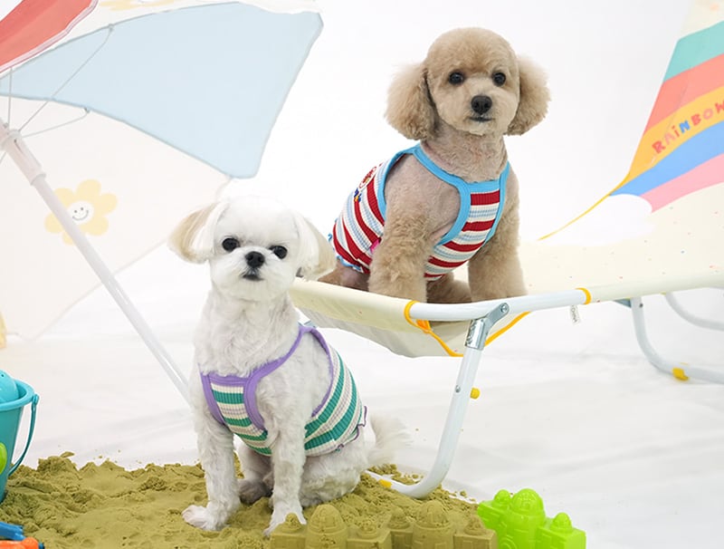 winkholic crop top S ~ XL 2color / 犬服 春夏 新作 Tシャツ ドッグウェア ショート丈 袖なし 小型犬 中型犬 トップス 涼しい お揃い クロップド top152