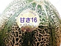 銚子メロン（アムスメロン）2L 5玉入り ※送料込み 贈り物