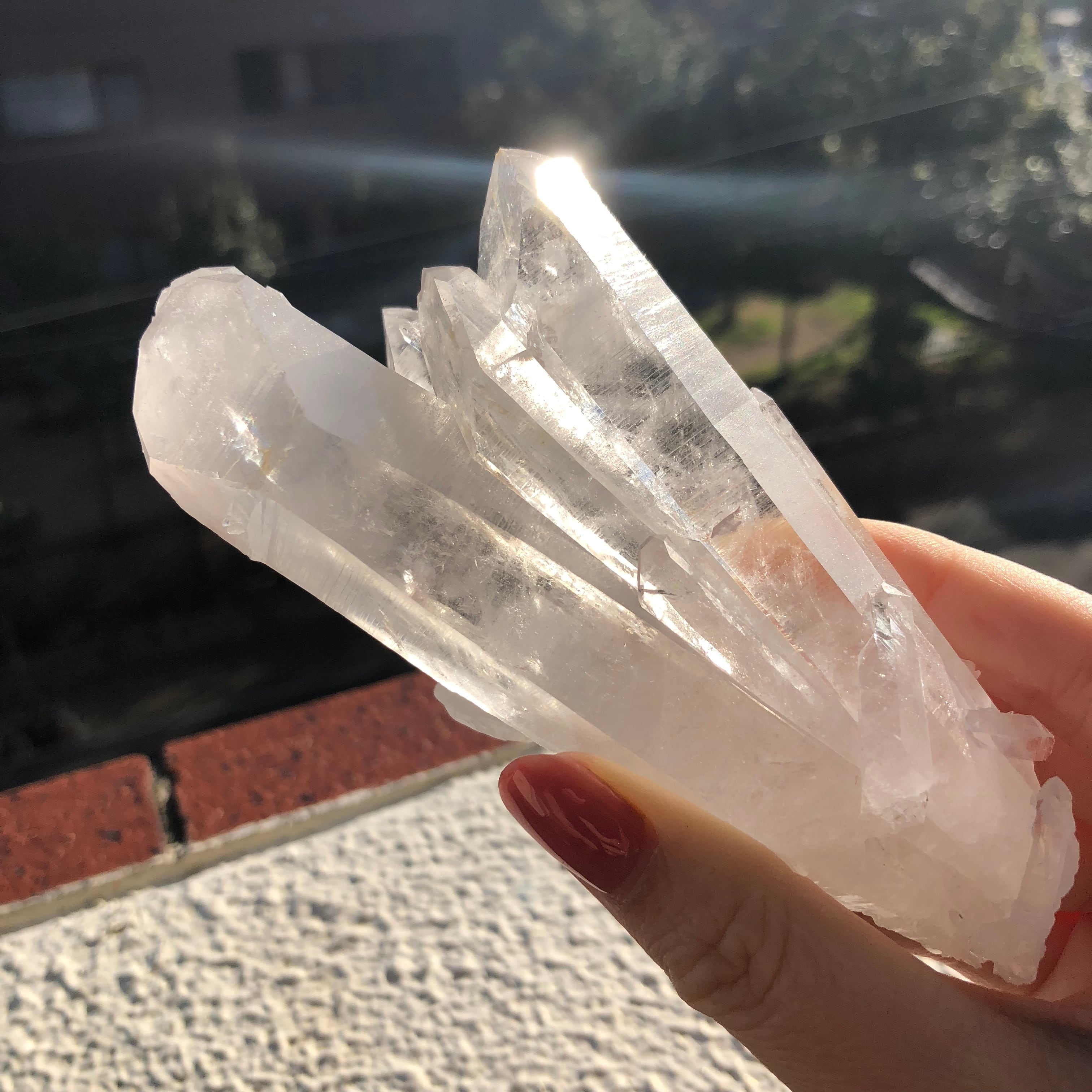 希少!アイアンローズ(ヘマタイト)の水晶共生クラスター | 虹 希少!アイアンローズ(ヘマタイト)の水晶共生クラスター | 虹