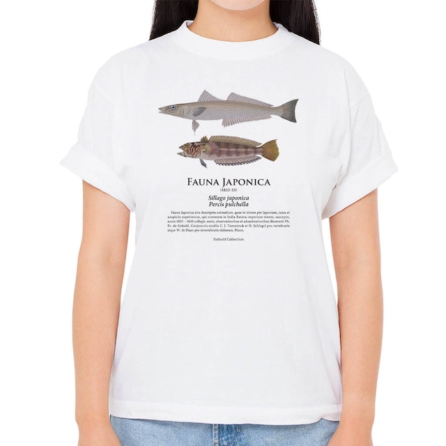 【シロギス・トラギス】シーボルトコレクション魚譜Tシャツ（高解像・昇華プリント）