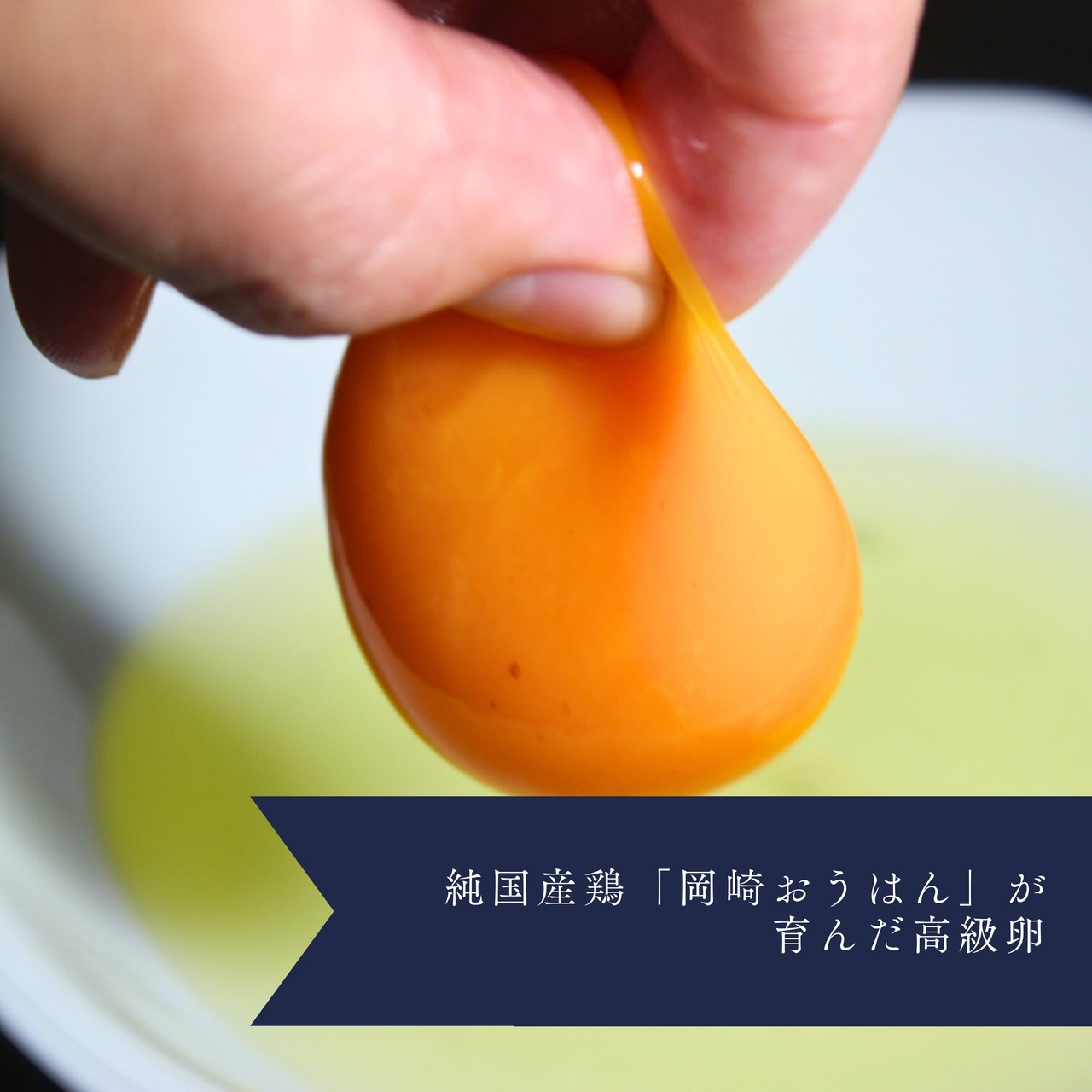 名匠の饗宴 プレミアム和食ギフト【卵かけご飯＆釜玉稲庭うどんセット】