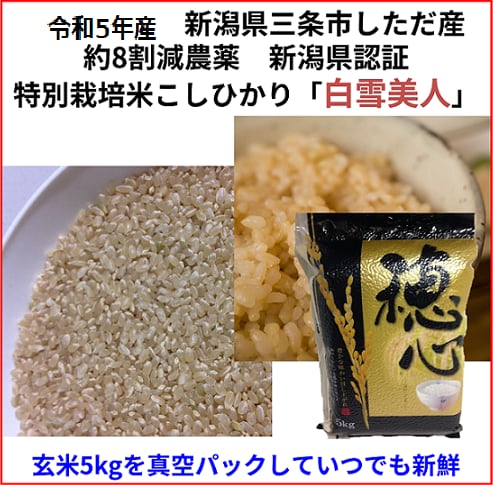 新米 令和5年産 新潟県 魚沼産 コシヒカリ10kg (5kg×2袋) 特別栽培米