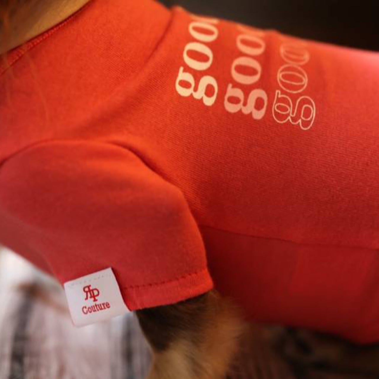 GOOD GIRL （Tシャツ） | カニンヘンダックスとミニチュアダックス専門