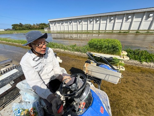 【予約販売R9.3月中旬発送】令和8年佐渡産コシヒカリ　5㎏・画像3