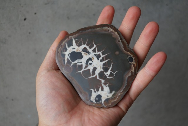 セプタリアン Septarian 1277