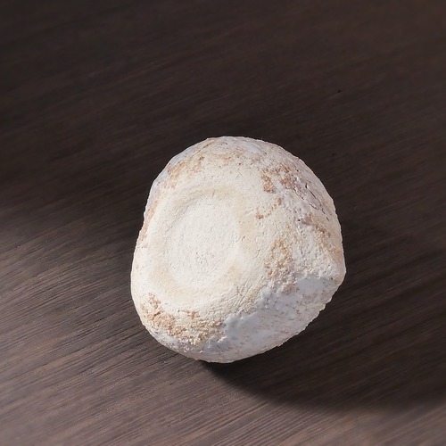 ハートの花入れ suger coated no.4