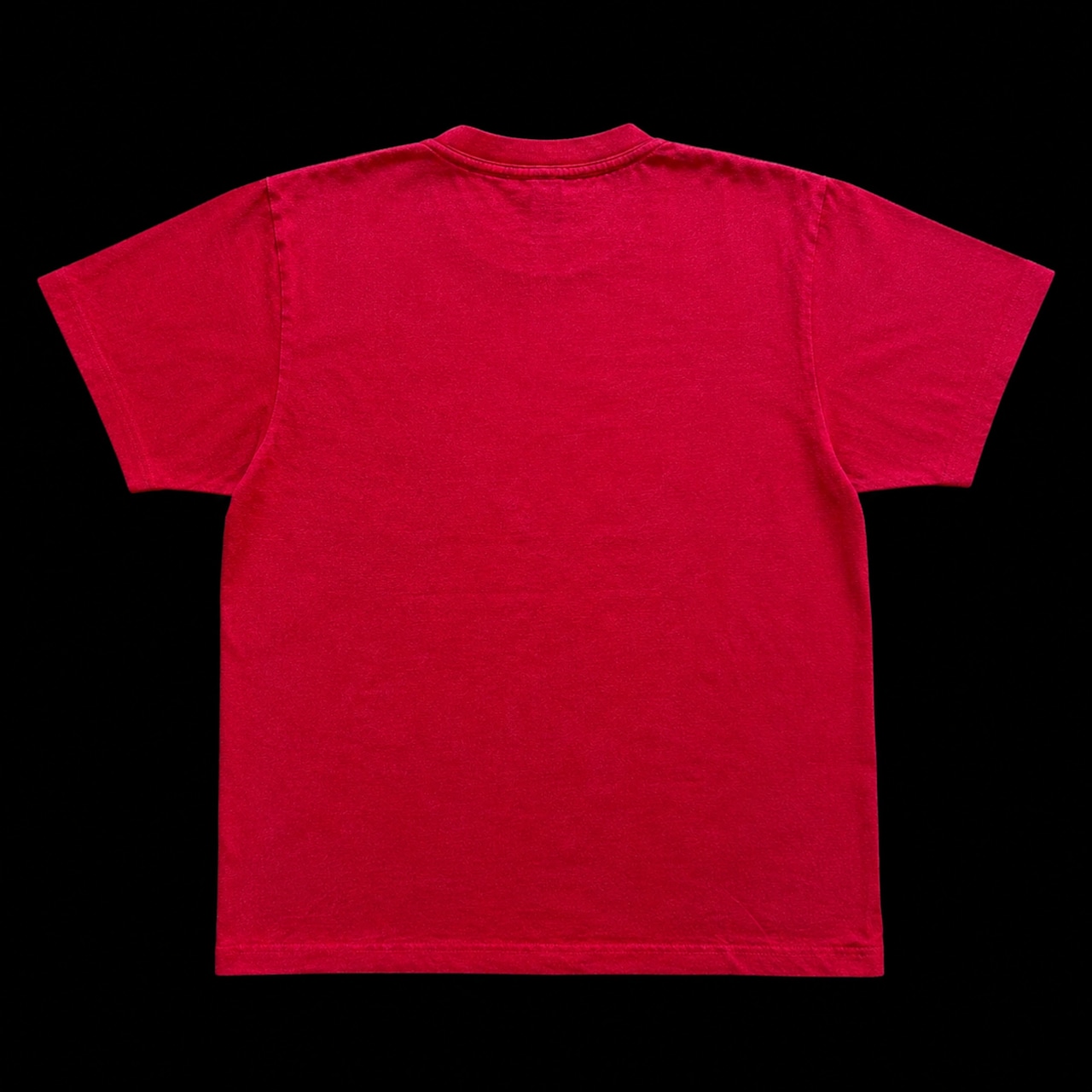OG SMALL LOGO PIGMENT TEE
