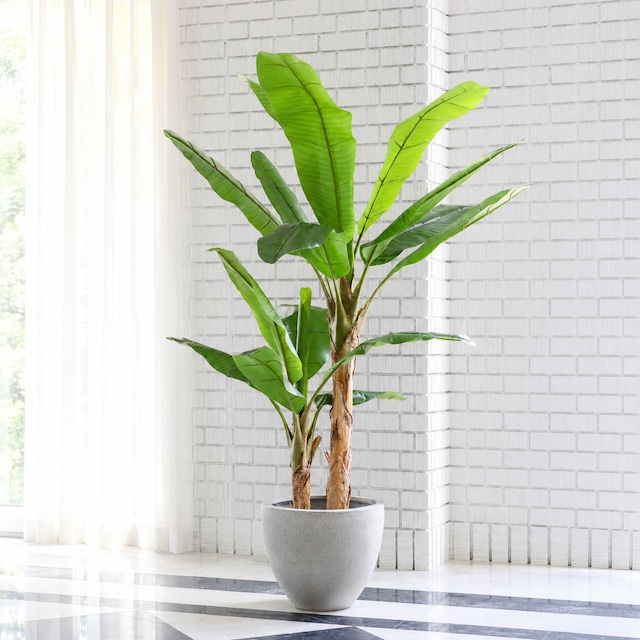 フェークグリーン大型サイズ観葉植物 人工 樹木 バナナツリー フェイクグリーン 大型 200cm バナナツリー 天然木とフェイク | 株式