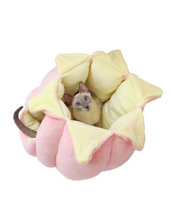 ファルミナ プライムチキン（ザクロ入り）避妊去勢成猫用 1.5kg ね