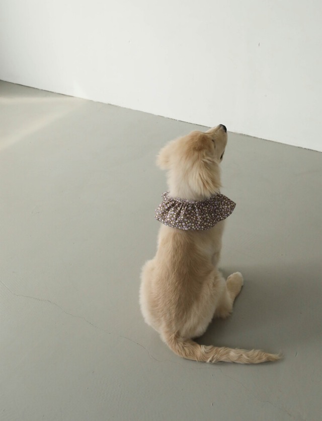 〈即納アイテム〉OHDIBS / Denim Cotton Cape