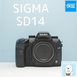 SIGMA SD14 一眼レフ a6853