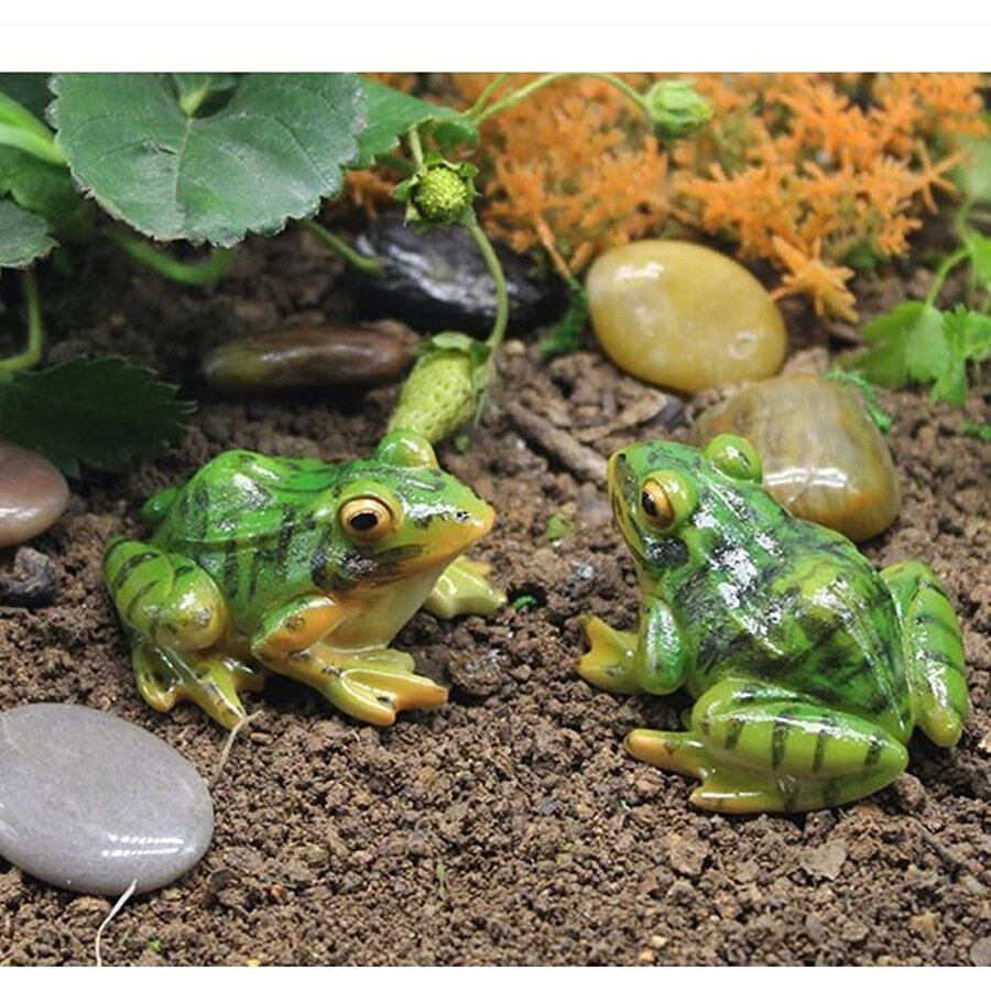 アフリカンフラワー 特大カエル 【公式通販】