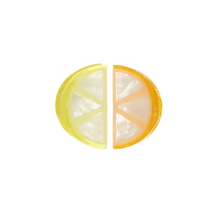 CLW2501:Citrus Slice Claw Clips 2 Pack-MULTI
