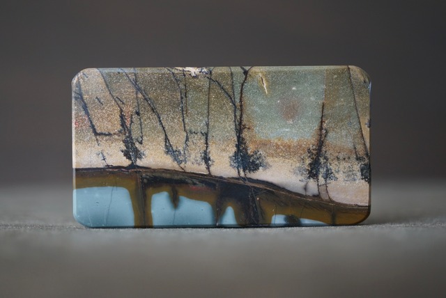 チェリークリーク・ジャスパー Cherry Creek Jasper 1916