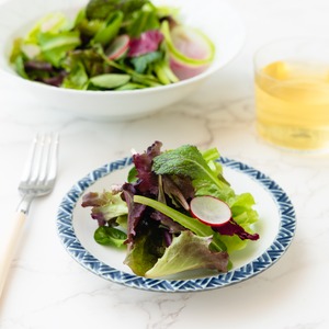 波佐見焼 一真窯 ジモンリング 15cm 丸皿