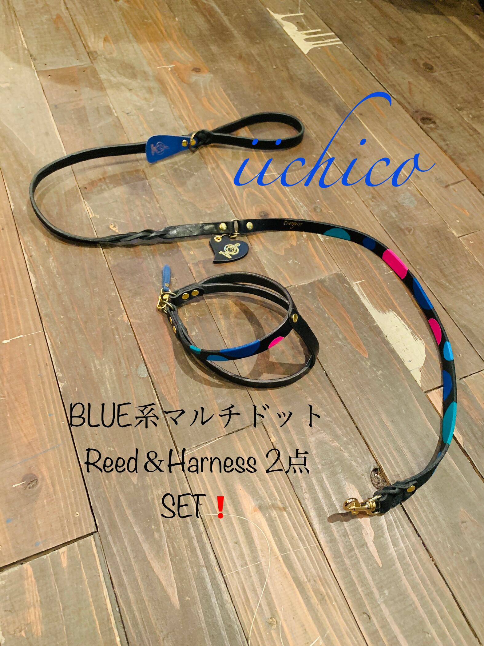 犬用リード＆ハーネス2点SET！Black革Blue系マルチドット 犬用リード＆ハーネス2点SET！Black革Blue系マルチドット