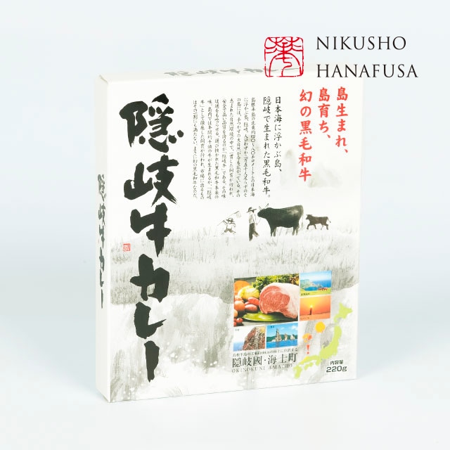 送料無料  鳥取和牛ビーフカレー（中辛 1人前 160g）3個セット