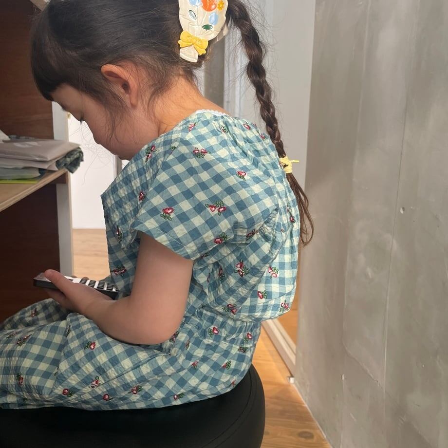 即納andpal &pal アンドパル チェック 刺繍 ブラウス ミントのみ