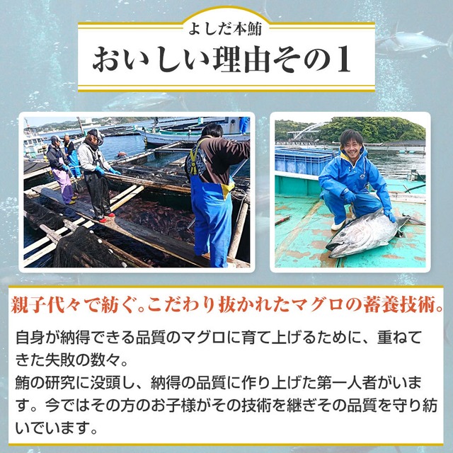 和歌山県 串本産 最高品質本マグロ よしだ本鮪の刺身 (赤身トロ混合)  400g【ギフト対応可】