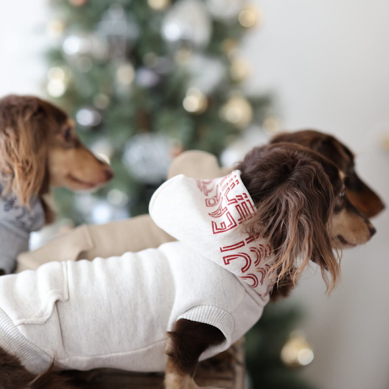 フジアースフィールド スタッフパーカー | カニンヘンダックスと