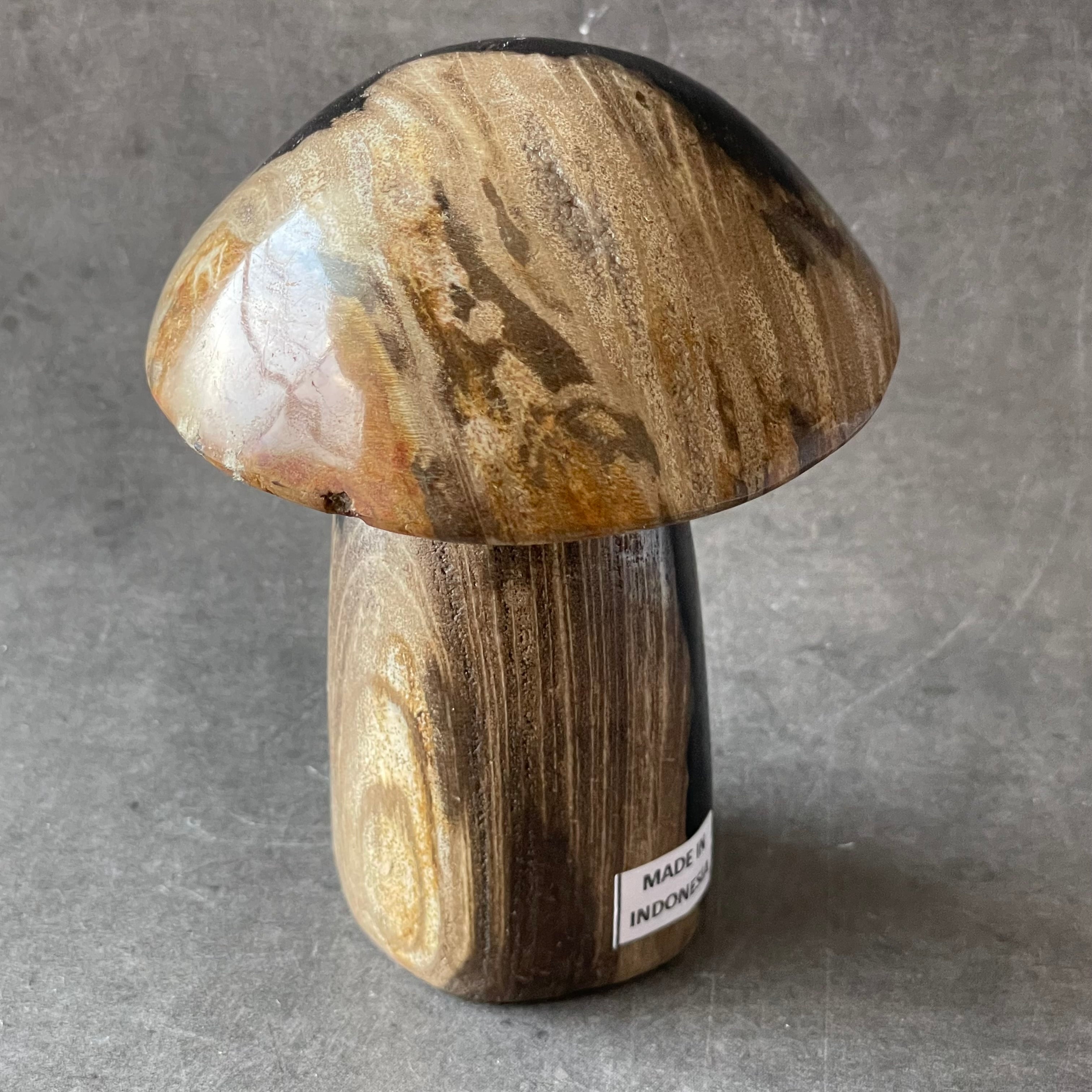 インドネシア産♦︎Petrified Wood ペトリファイドウッド|mushroom