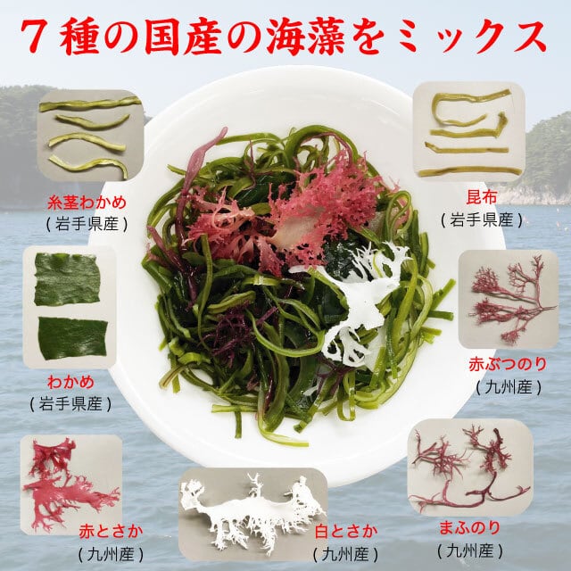 20g　海藻サラダ　BASE　マルサ海藻　国産　7種の海藻　乾燥サラダ　SHOP